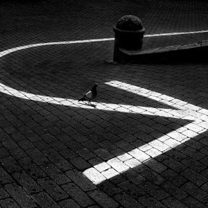 Lleida-i-Balaguer-137-Seu-Vella-ret5-BiN-copia-3-scaled