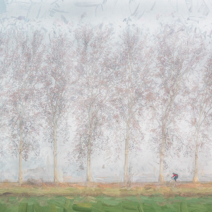 DSC_1768 ret impasto