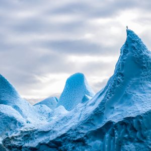 sense marca d'aigua web