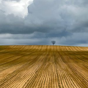 PHOTO-2025-03-13-23-05-20