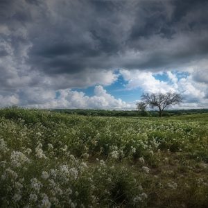Sin-título-1-gigapixel2-redefine-creative-1x